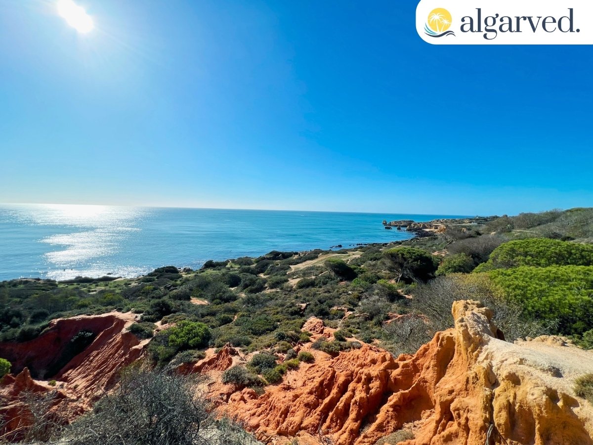 Albufeira Cliffs
