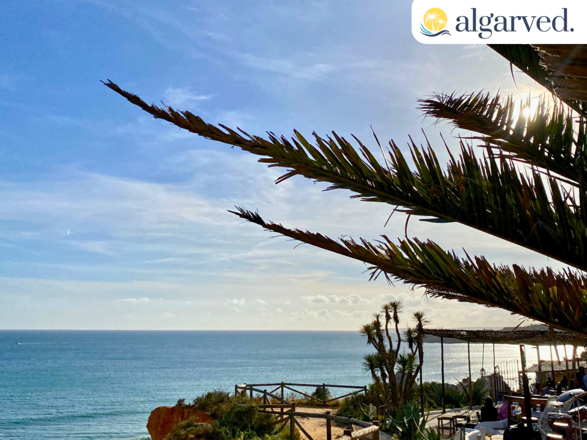 The 5 Best Beaches for Kids in the Algarve 2 Beachfront Bar Portimao 1600 × 1200 px