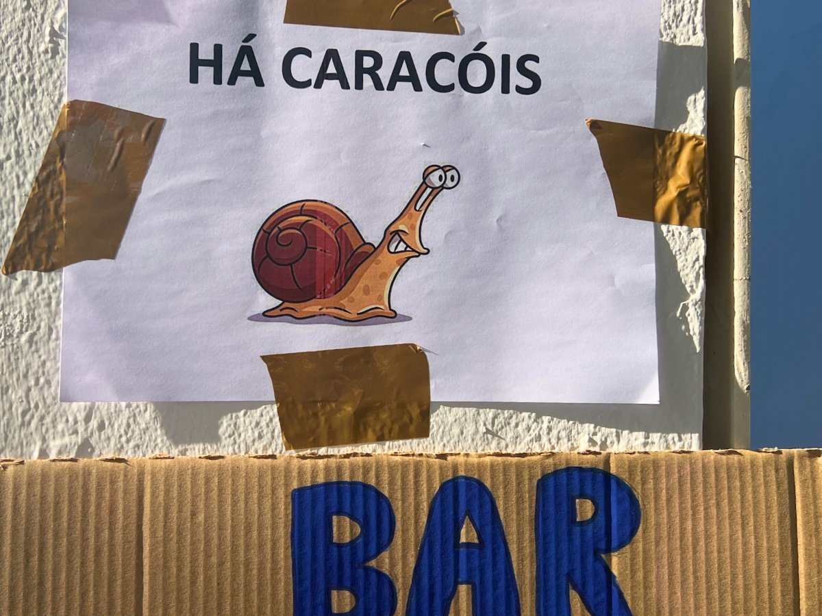 Caracois a Algarvia