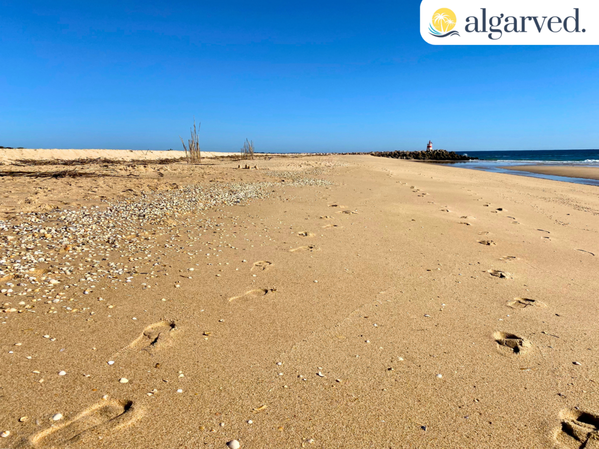Best 5 Things to do in Tavira, Algarve 4 Ilha de Tavira 1600 × 1200 px
