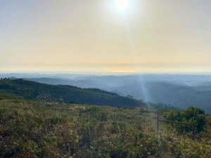 Serra de Monchique 1600 × 1200 px 2