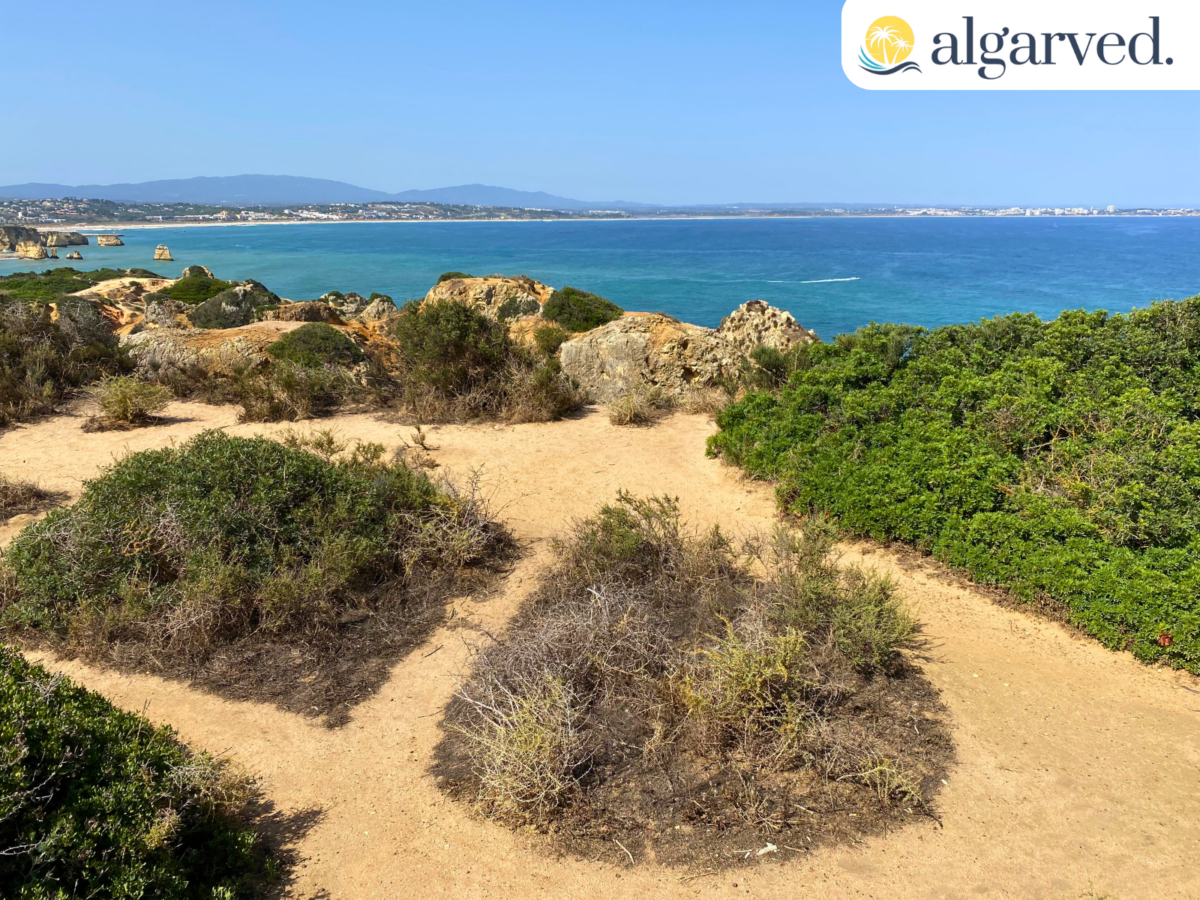 The 5 Best Beaches for Kids in the Algarve 3 View of Meia Praia Lagos 1600 × 1200 px